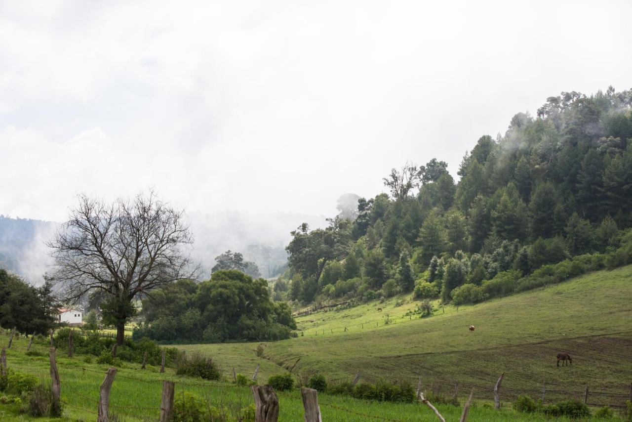 Hotel La Casona Tapalpa Luaran gambar